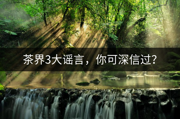 茶界3大謠言，你可深信過？