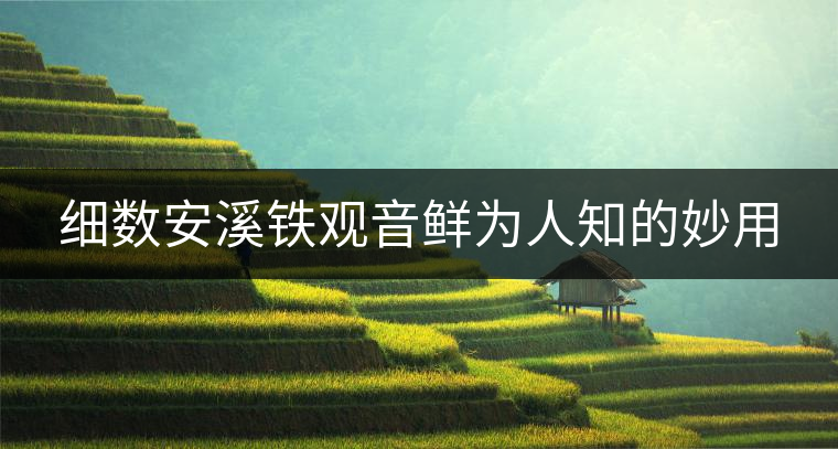 細(xì)數(shù)安溪鐵觀音鮮為人知的妙用