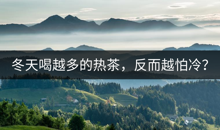 冬天喝越多的熱茶，反而越怕冷？