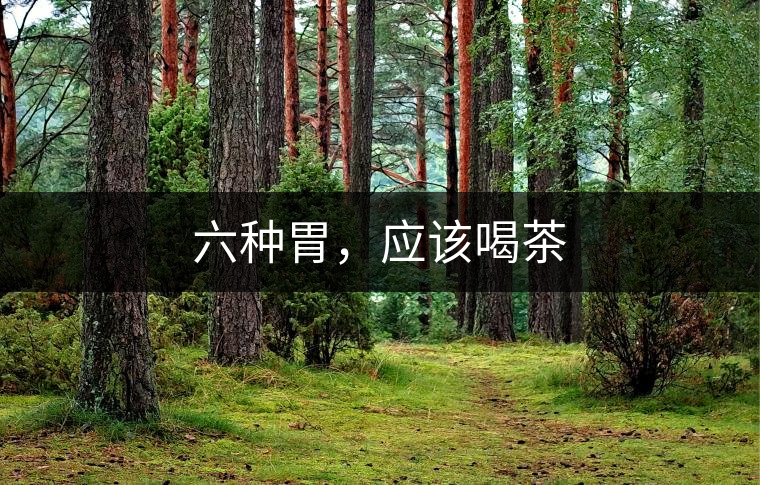 六種胃，應(yīng)該喝茶