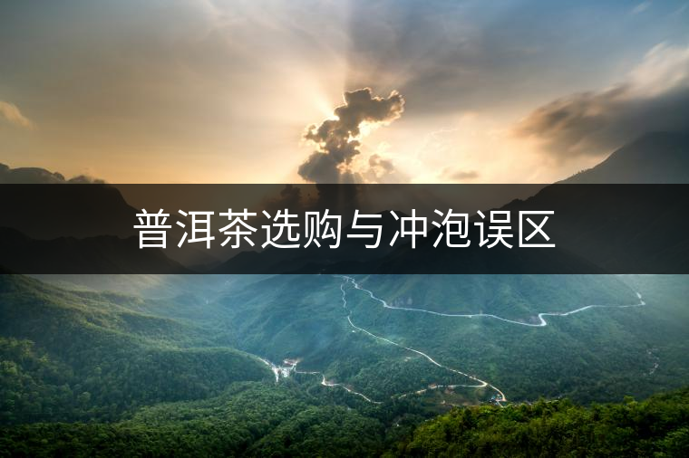 普洱茶選購與沖泡誤區(qū)