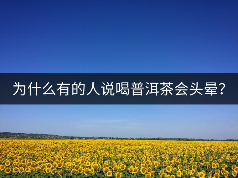 為什么有的人說(shuō)喝普洱茶會(huì)頭暈？