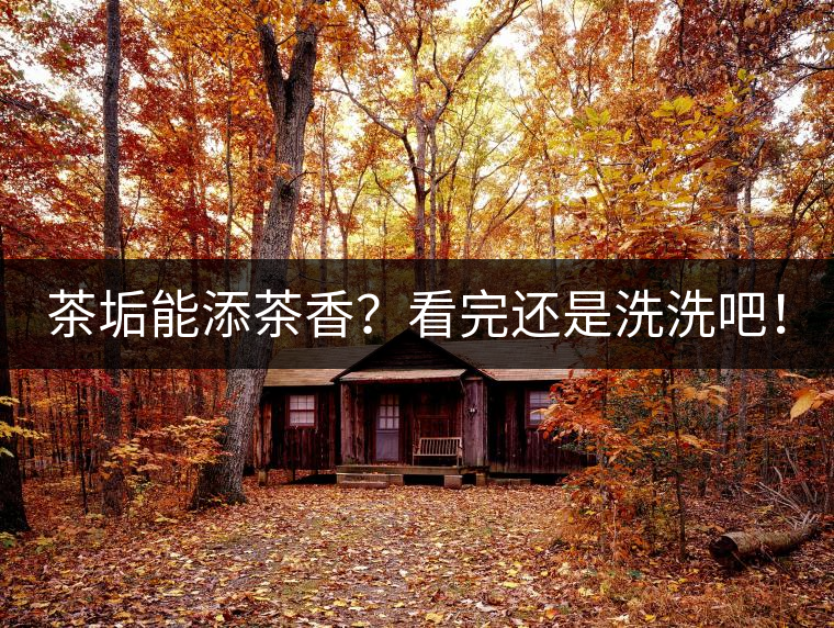 茶垢能添茶香？看完還是洗洗吧！