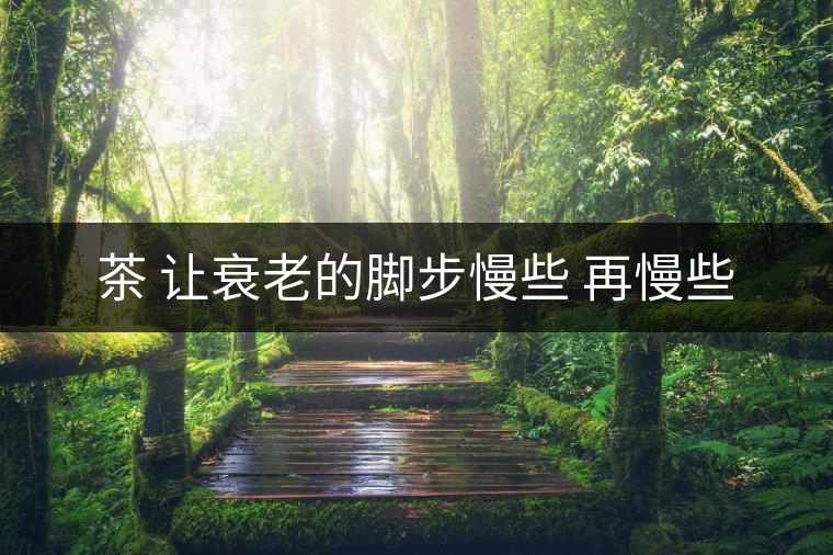 茶 讓衰老的腳步慢些 再慢些 茶 讓衰老的腳步慢些 再慢些