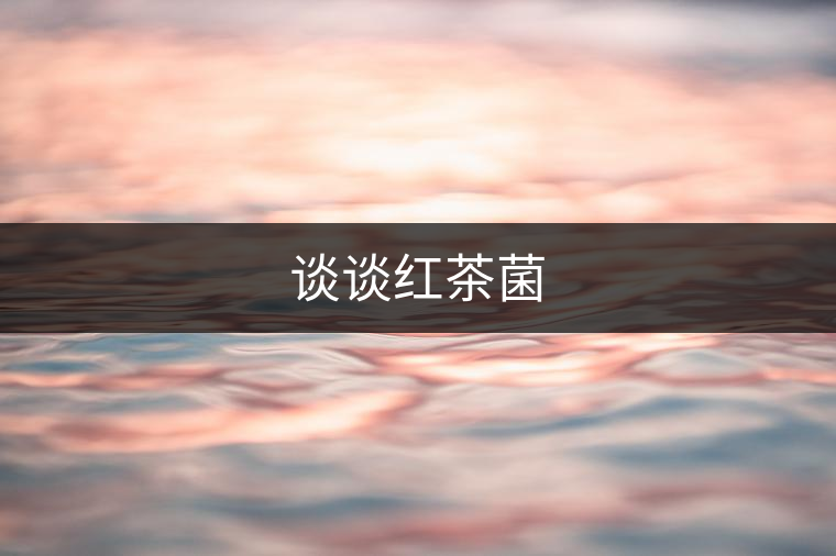 談?wù)劶t茶菌