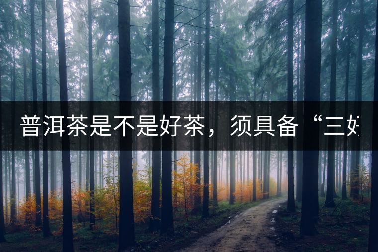 普洱茶是不是好茶，須具備“三好”