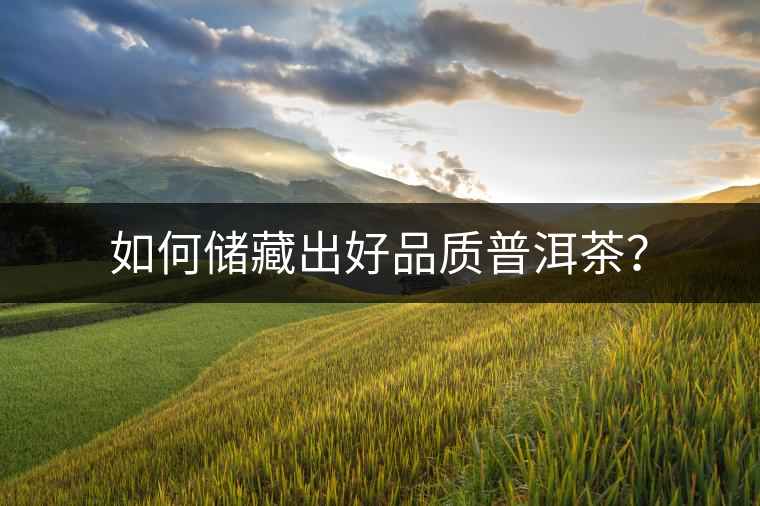 如何儲藏出好品質普洱茶？