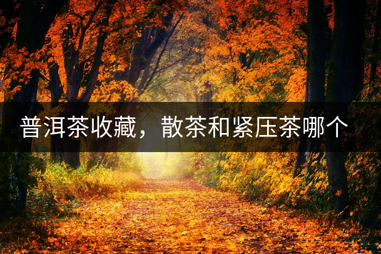 普洱茶收藏，散茶和緊壓茶哪個更好？