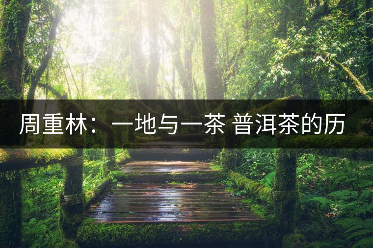 周重林:一地與一茶 普洱茶的歷史以及現(xiàn)場 周重林:一地與一茶 普洱茶的歷史以及現(xiàn)場