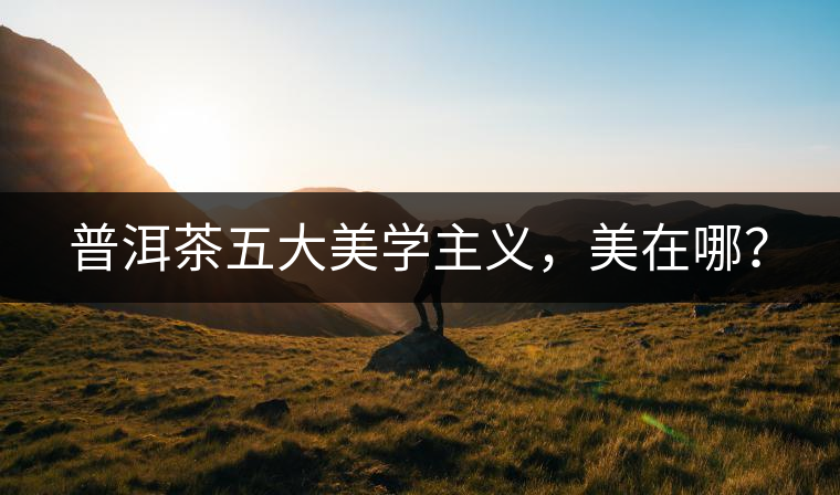 普洱茶五大美學(xué)主義，美在哪？