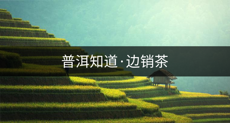 普洱知道·邊銷茶