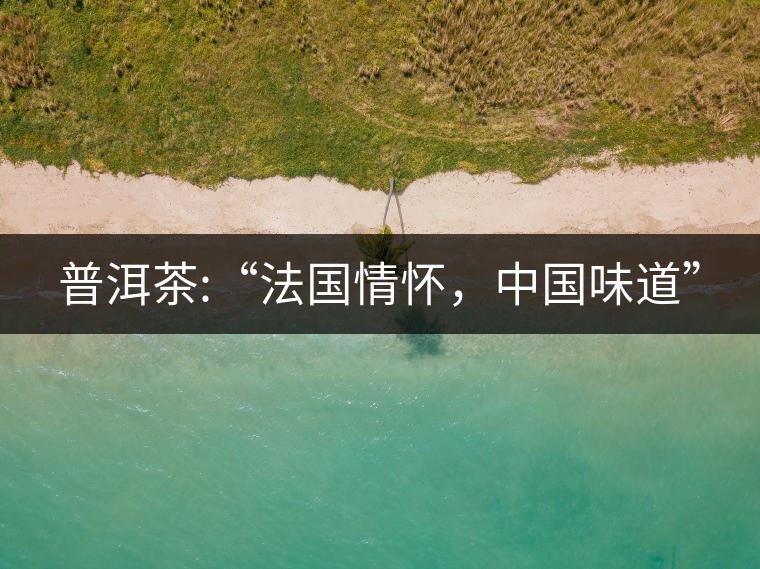普洱茶:“法國情懷，中國味道”