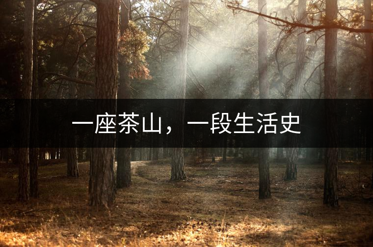 一座茶山，一段生活史