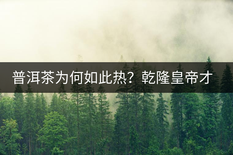 普洱茶為何如此熱？乾隆皇帝才是最大推手