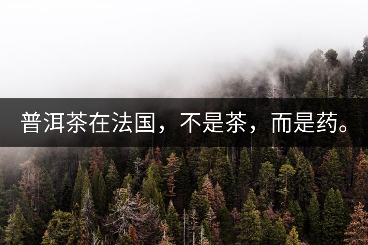 普洱茶在法國，不是茶，而是藥。