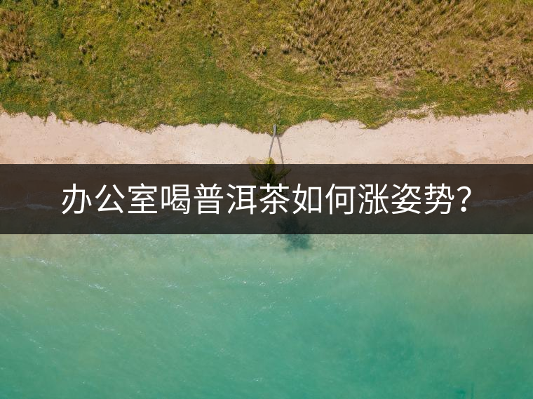 辦公室喝普洱茶如何漲姿勢(shì)？