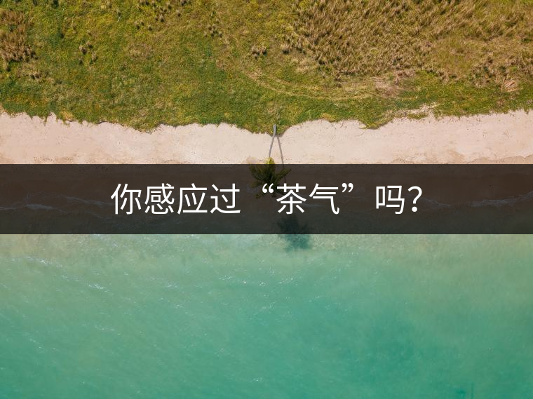 你感應(yīng)過“茶氣”嗎？