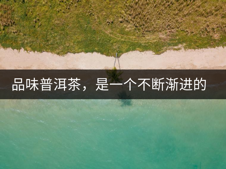 品味普洱茶，是一個不斷漸進的過程