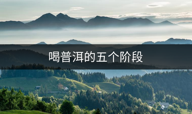 喝普洱的五個階段