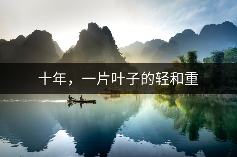 十年，一片葉子的輕和重