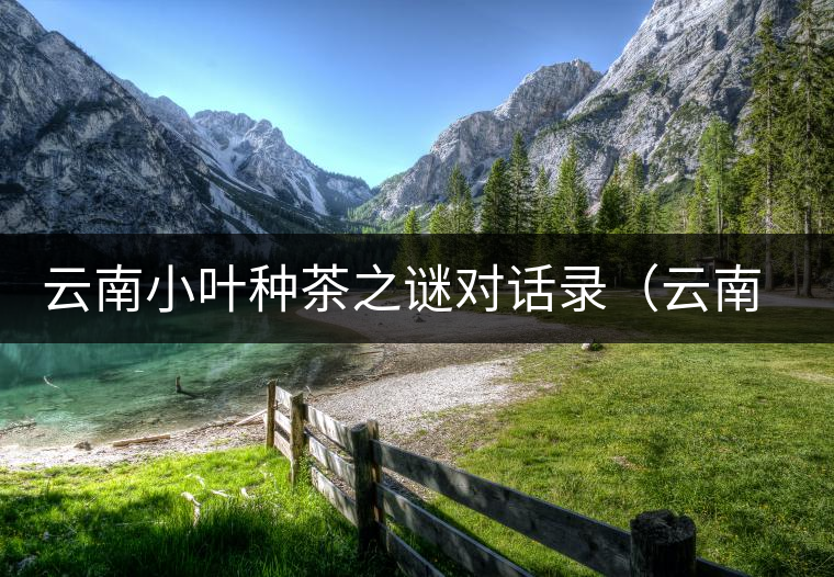 云南小葉種茶之謎對(duì)話錄（云南栽培型古樹茶的分類與斷代）