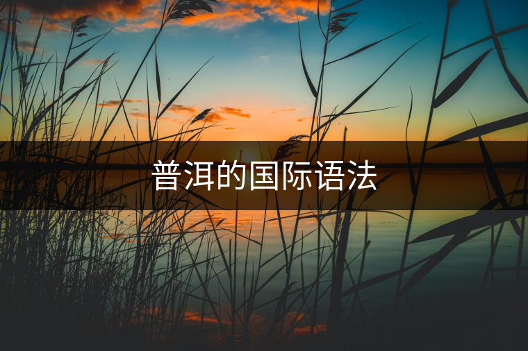 普洱的國際語法