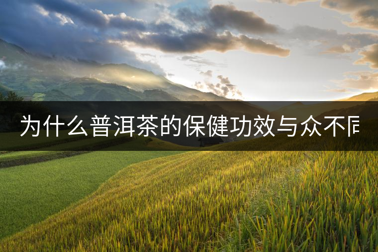 為什么普洱茶的保健功效與眾不同？