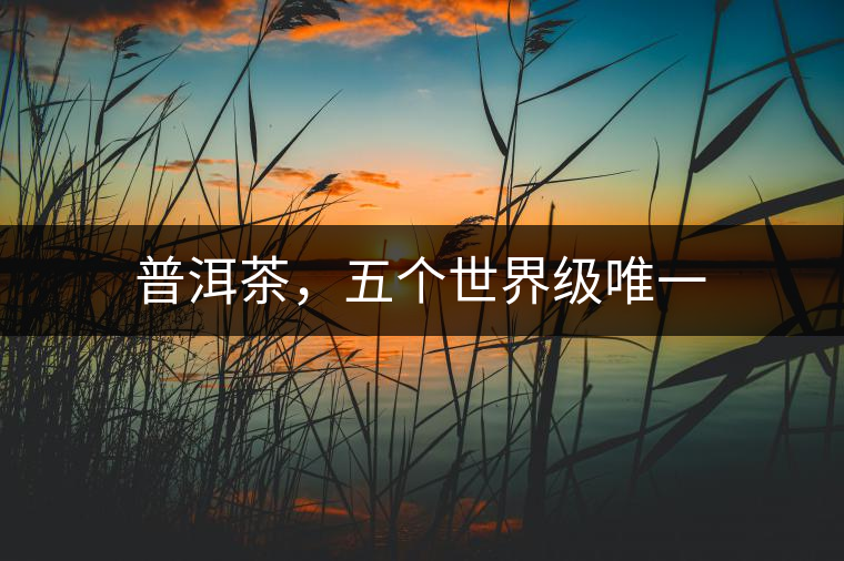 普洱茶，五個世界級唯一