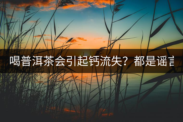 喝普洱茶會(huì)引起鈣流失？都是謠言！