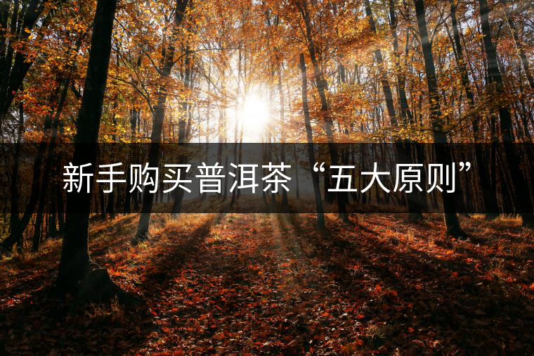 新手購買普洱茶“五大原則”