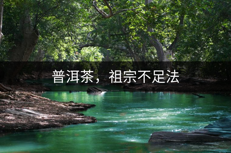 普洱茶，祖宗不足法
