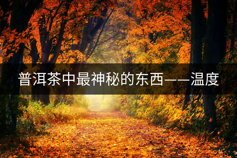 普洱茶中最神秘的東西——溫度