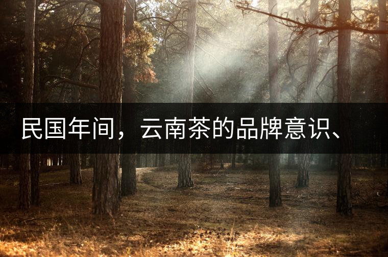 民國年間，云南茶的品牌意識、普洱茶的文化意識初步覺醒