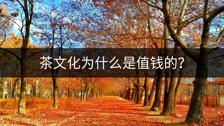 茶文化為什么是值錢的？