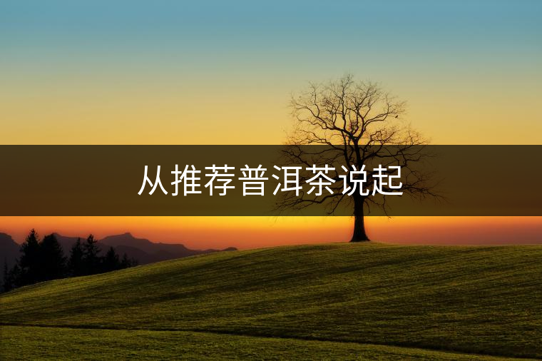 從推薦普洱茶說起