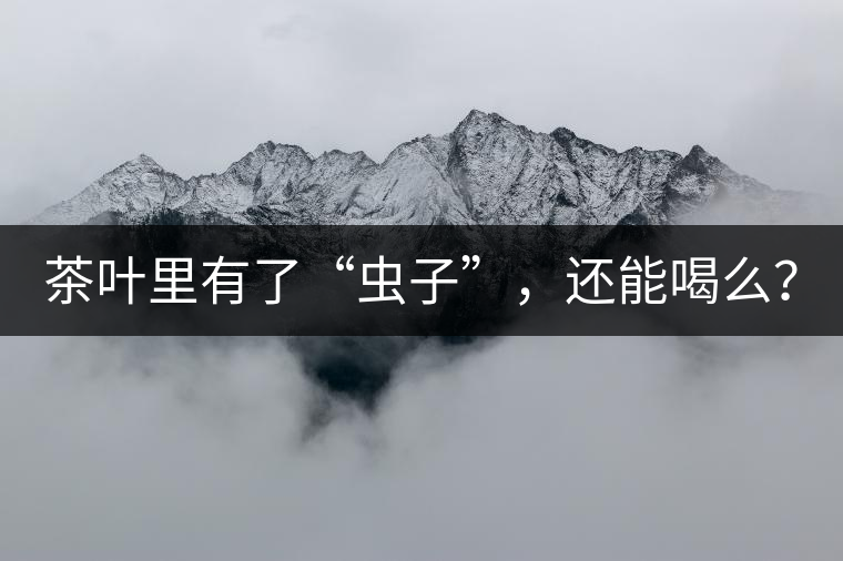 茶葉里有了“蟲子”，還能喝么？