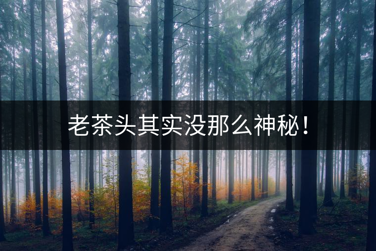 老茶頭其實(shí)沒那么神秘！
