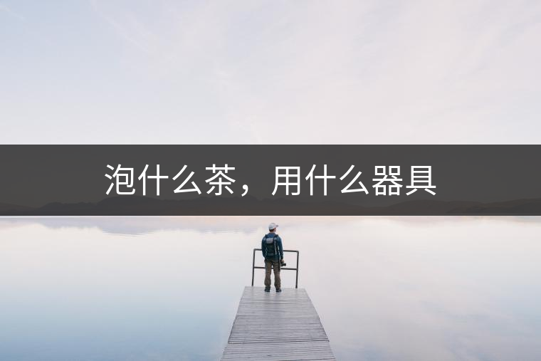 泡什么茶，用什么器具