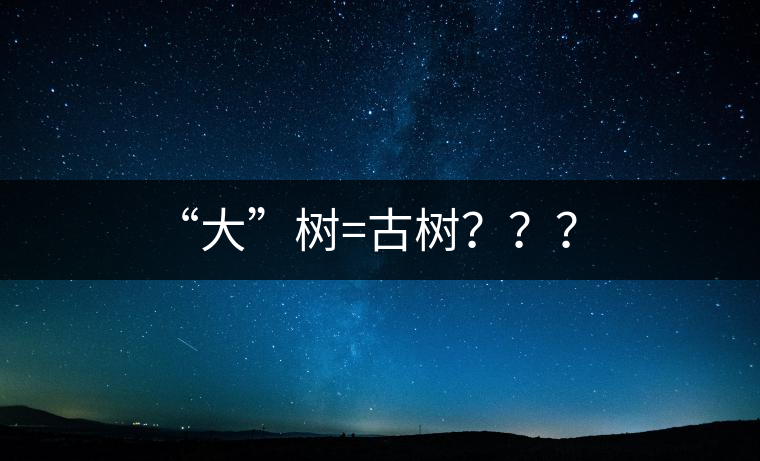 “大”樹(shù)=古樹(shù)？？？