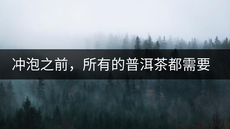 沖泡之前，所有的普洱茶都需要醒茶嗎？