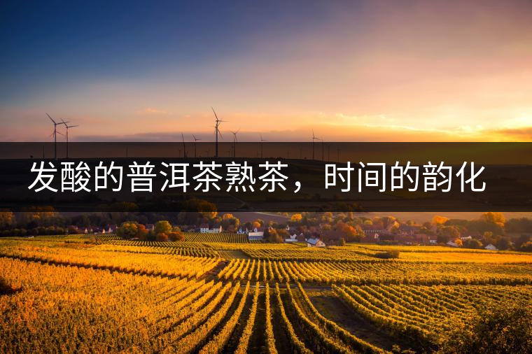 發(fā)酸的普洱茶熟茶，時間的韻化會讓它驚艷無比！