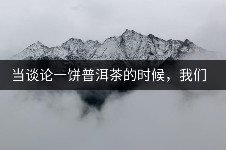 當談論一餅普洱茶的時候，我們該談些什么？