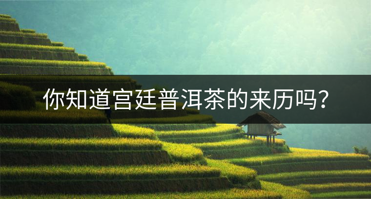 你知道宮廷普洱茶的來歷嗎？