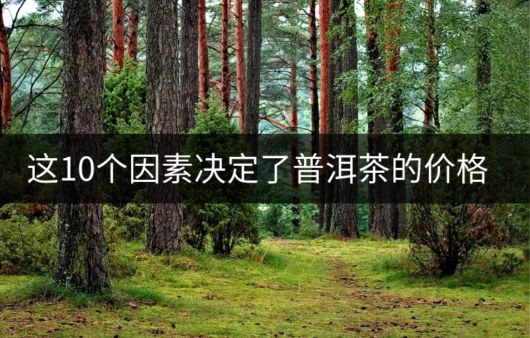 這10個因素決定了普洱茶的價格？