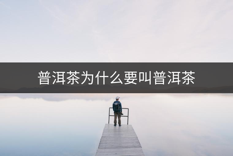 普洱茶為什么要叫普洱茶