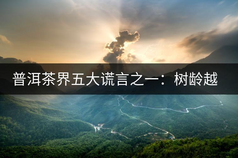 普洱茶界五大謊言之一：樹(shù)齡越高，品質(zhì)越好