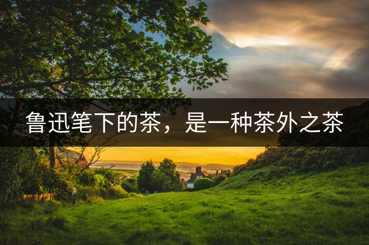 魯迅筆下的茶，是一種茶外之茶