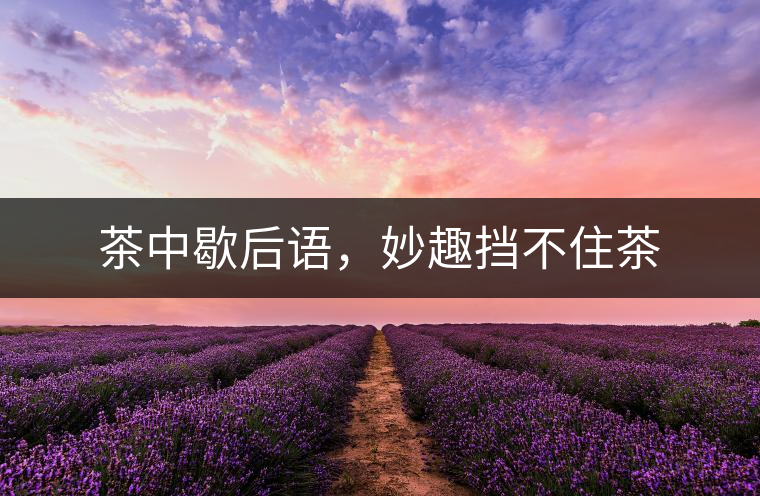 茶中歇后語，妙趣擋不住茶