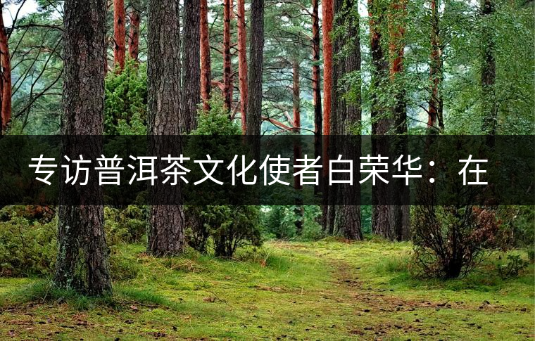 專訪普洱茶文化使者白榮華:在傳承中發(fā)揚(yáng)創(chuàng)新 專訪普洱茶文化使者白榮華:在傳承中發(fā)揚(yáng)創(chuàng)新