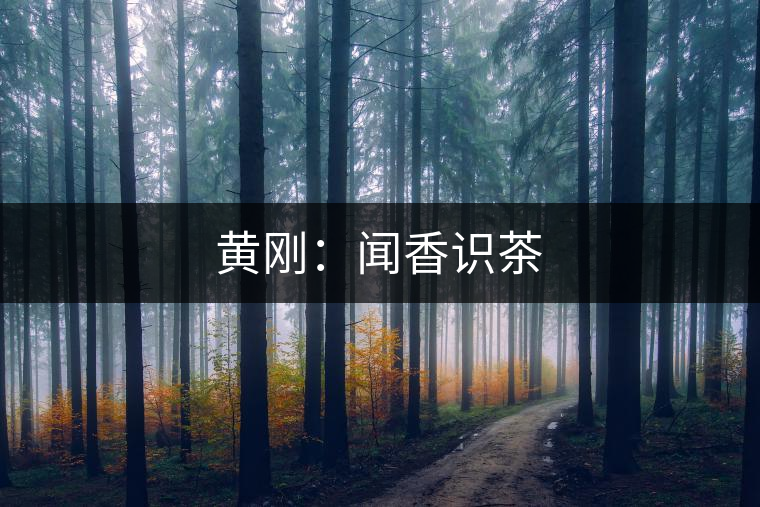 黃剛：聞香識(shí)茶